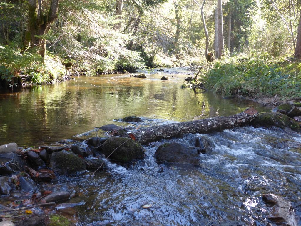 La D'hotes Du Moulin Gitenay