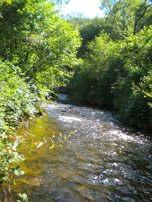 La D'hotes Du Moulin Gitenay